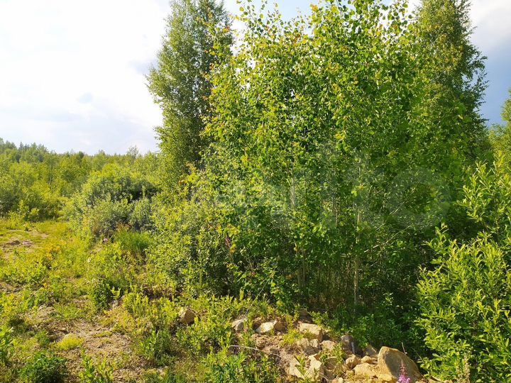 Участок 14,1 сот. (ИЖС)