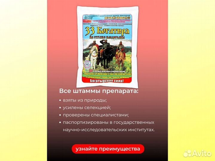 33 богатыря