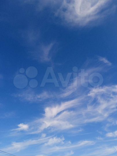 Участок 8 га (СНТ, ДНП)