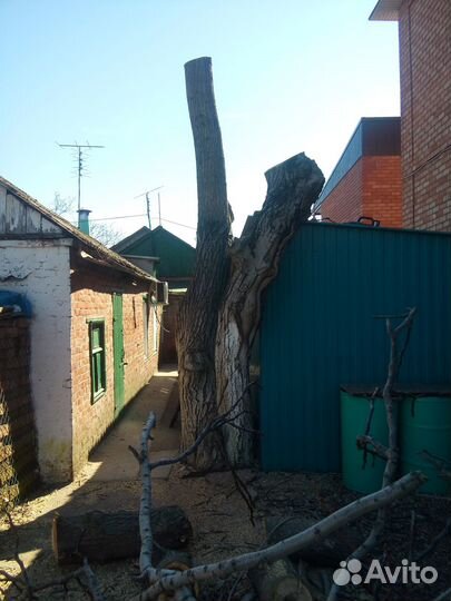 Спиливание деревьев в Ейске и Ейском районе