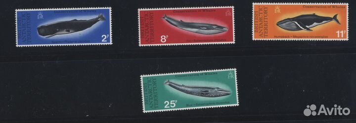 Английские антарктические территории,фауна,1977г