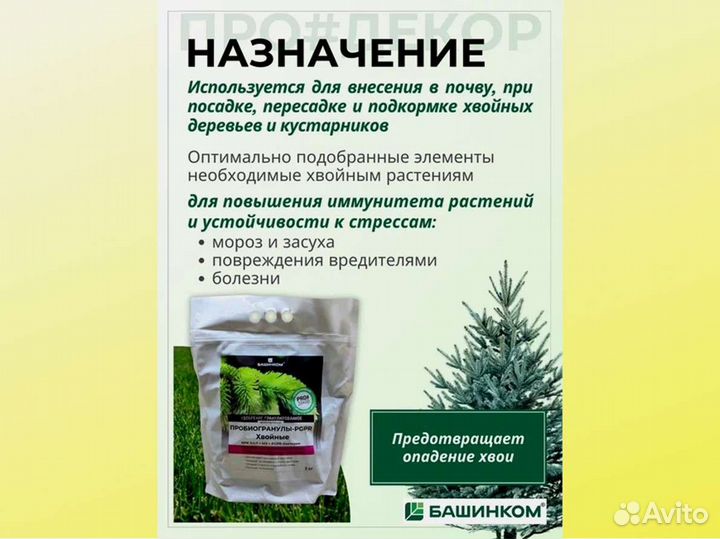 Пробиогранулы pgpr для хвойных