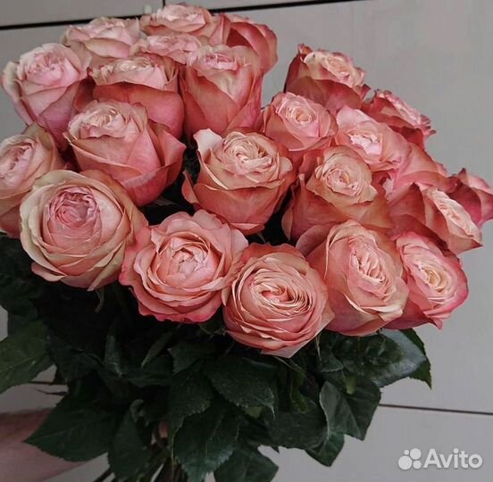 Цветы Розы Букеты доставка