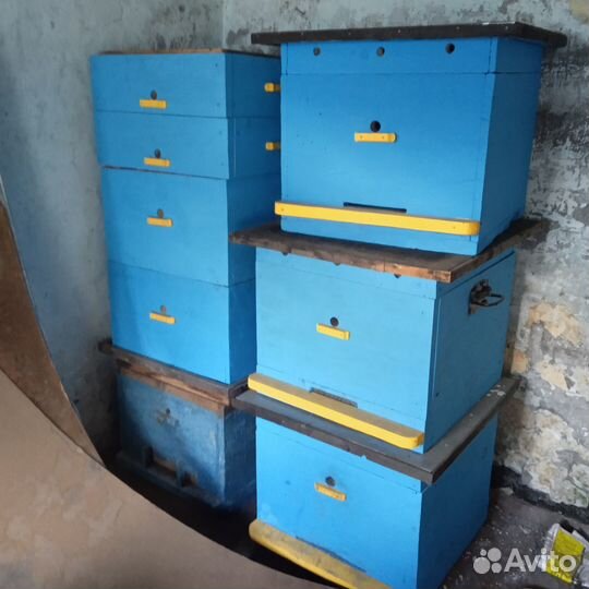 Продам улья для пчёл