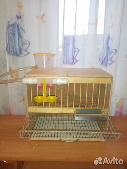 Детская перепелиная ферма