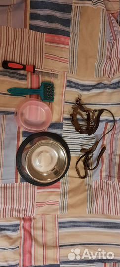 Набор для собак