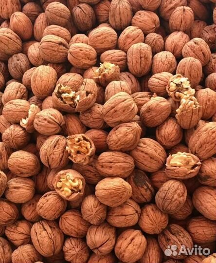 Грецкий орех