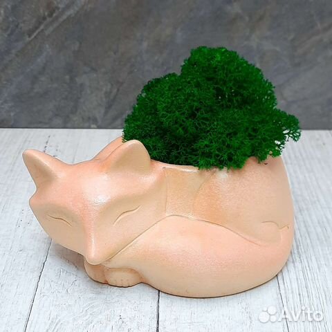 Кашпо лиса со стабилизированным мхом