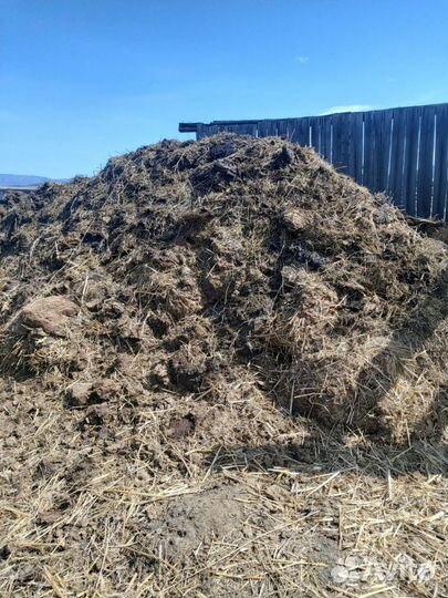 Навоз коровий