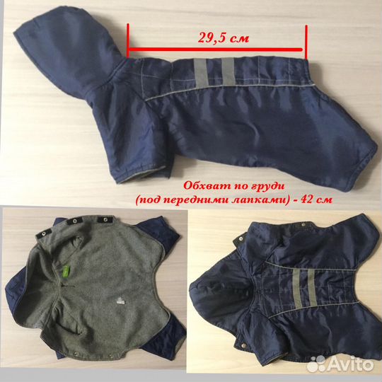 Одежда для собак