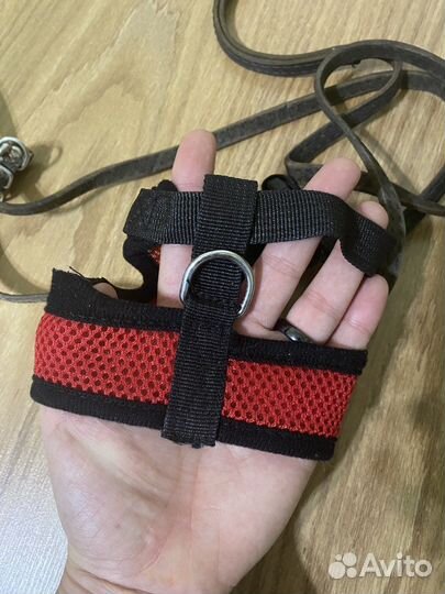 Шлейка для собак