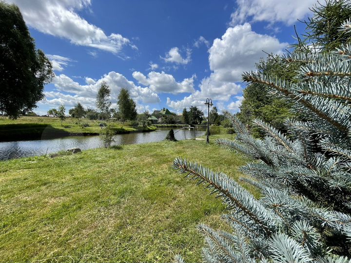 Участок 10,6 сот. (ИЖС)