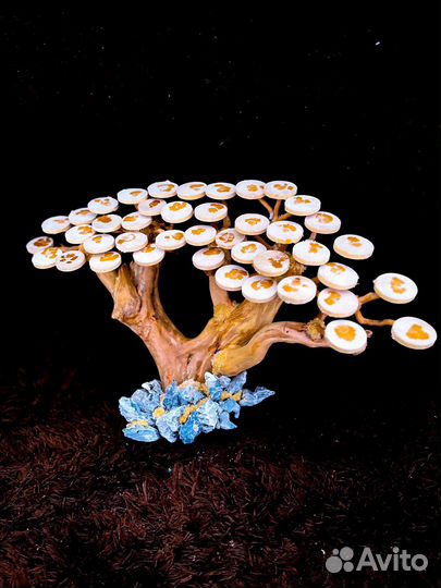 Аквариум Dophin под ключ