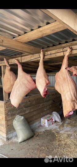 Мясо свинина домашняя с доставкой