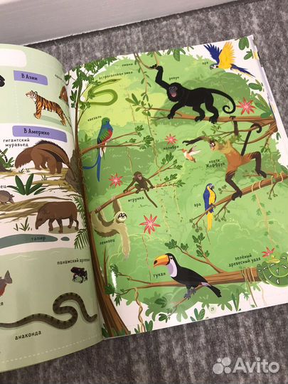 Книга-виммельбух от Clever про животных