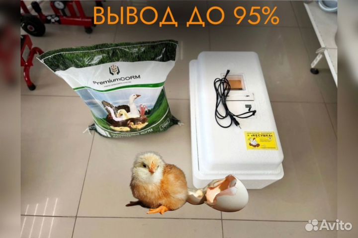 Инкубатор Несушка на 36 яиц