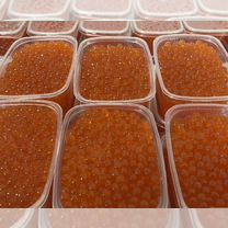 Красная икра кеты. Вылов S№744. Партия № GK-115