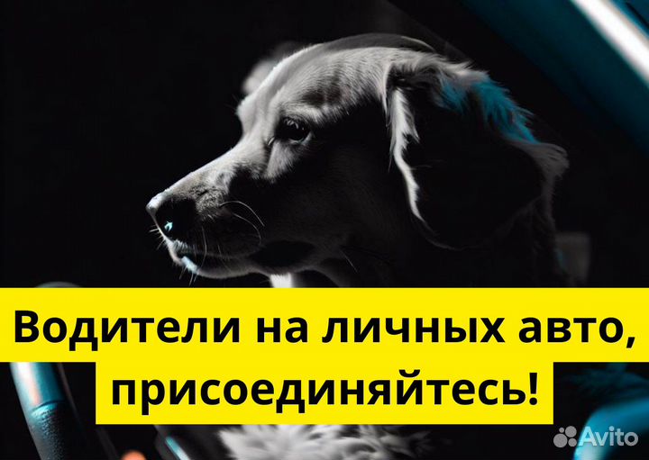 Ищем водителей с л/а для Яндекс Go