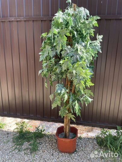 Искуственное растение