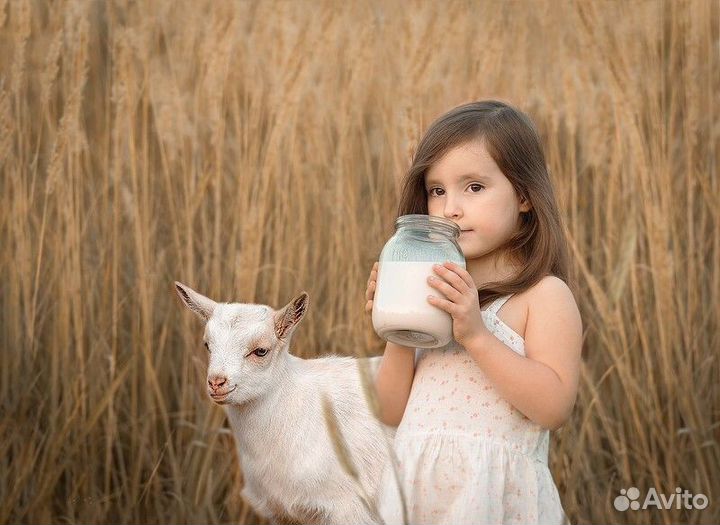 Козье молоко с доставкой