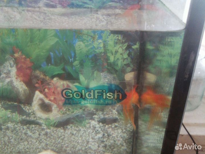 Аквариум