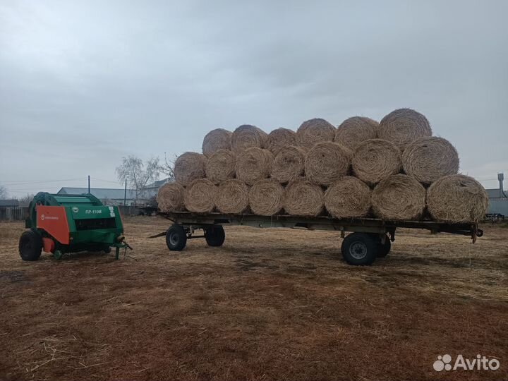 Солома суданки