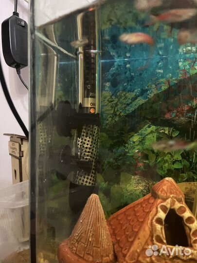 Аквариум с рыбками