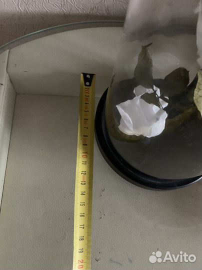 Роза в колбе украшение для дома