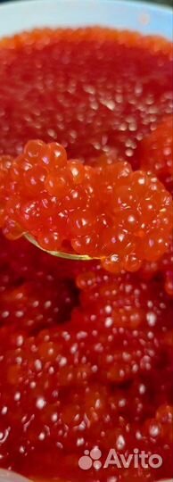 Красная икра