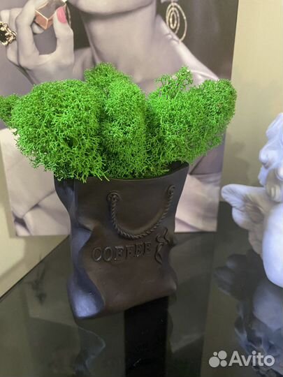 Мох живой в кашпо из глины ручной работы новое