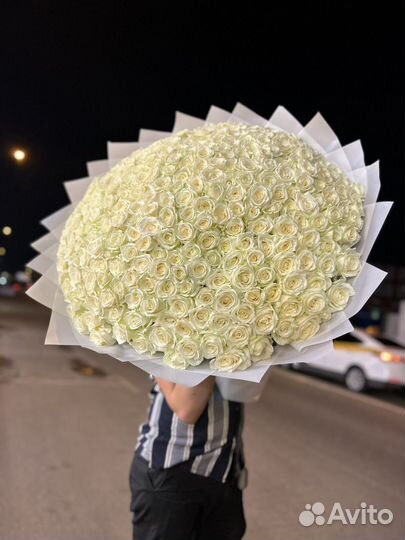 101 белая роза 70 см