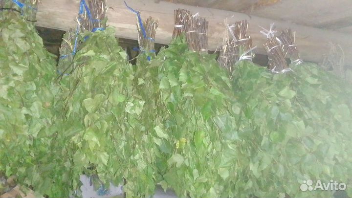 Веники дубовые березовые