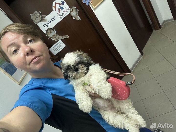 Ветеринарный врач Краснодар