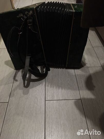 Аккордеон юность3