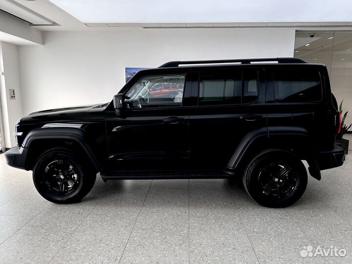 Tank 300 2.0 AT, 2024