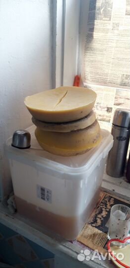 Воск пчелиный