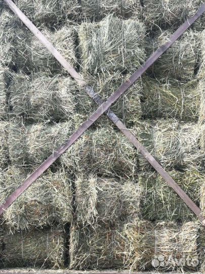 Сено разнотравье