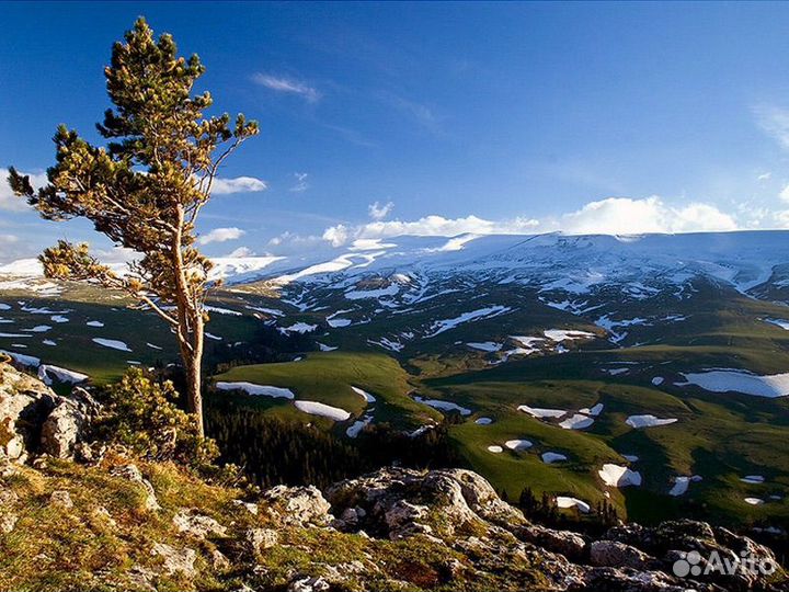 Весенние туры в Лаго-Наки из Анапы, Краснодара