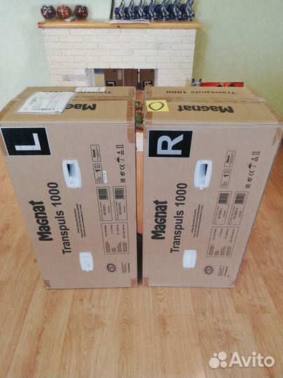 Magnat Transpuls 1000