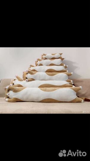 Длинный кот сосиска рыжий