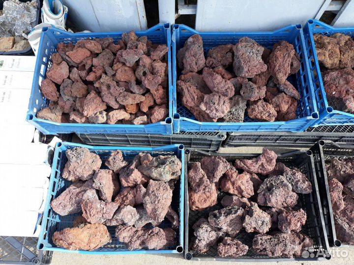 Декор для аквариума