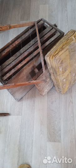 Пчеловодство