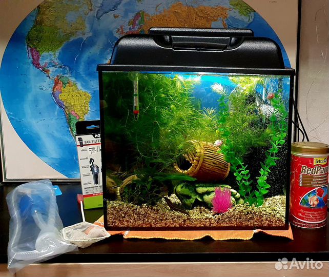Аквариум 35 л с рыбками и креветками