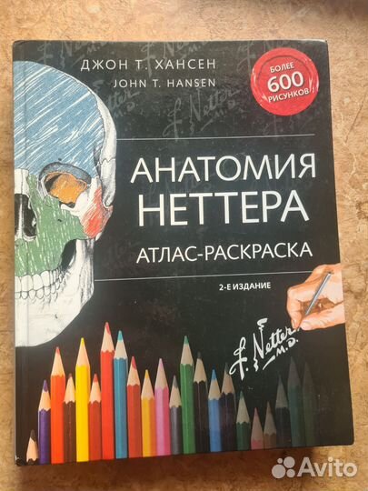 Анатомия неттера атлас-раскраска