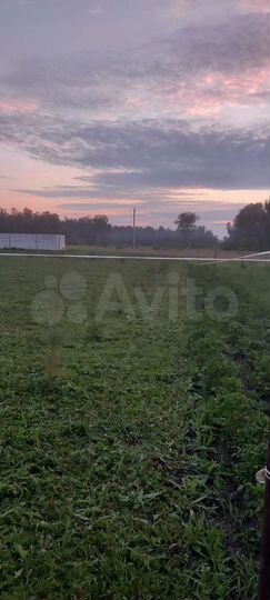 Участок 15 сот. (ИЖС)
