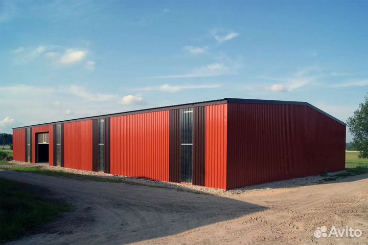 Ангар прямостенный