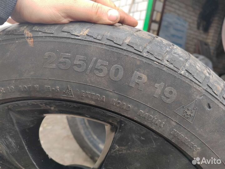 Condor Winter 4 255/55 R19