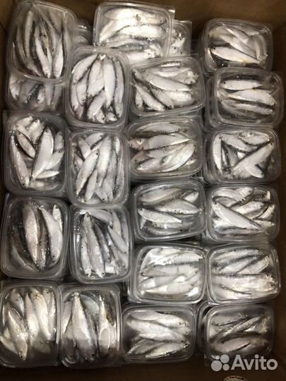 Тюлька для рыбалки