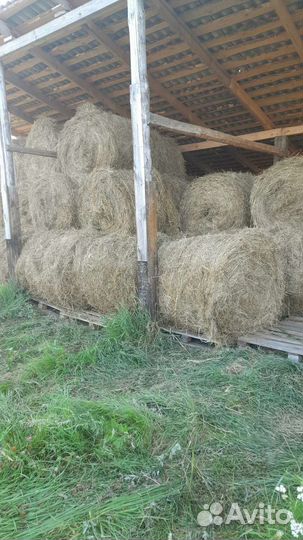 Сено луговое в рулонах