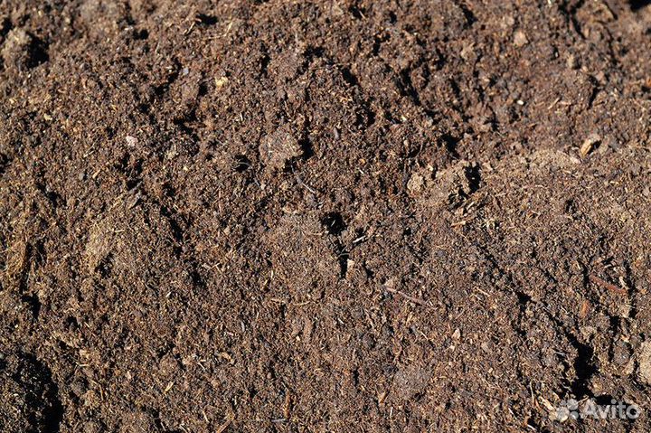 Торф, торфогрунт с доставкой